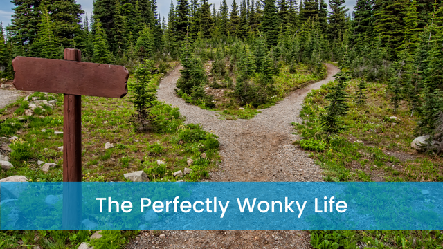 The Perfectly Wonky Life Introductory Course (SSF)